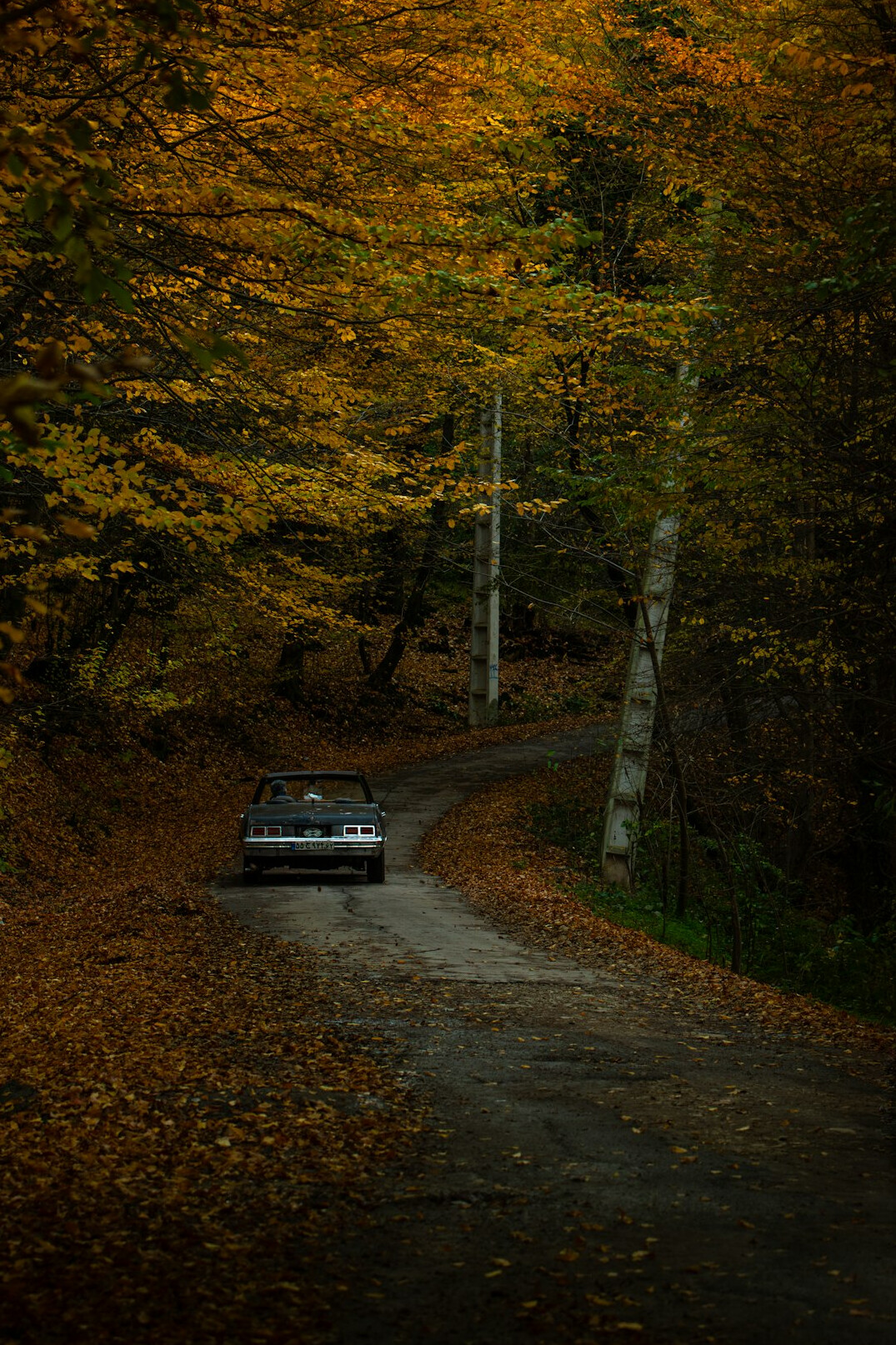 A line of vintage automobiles participating in a classic car rally on a rural Uruguayan road