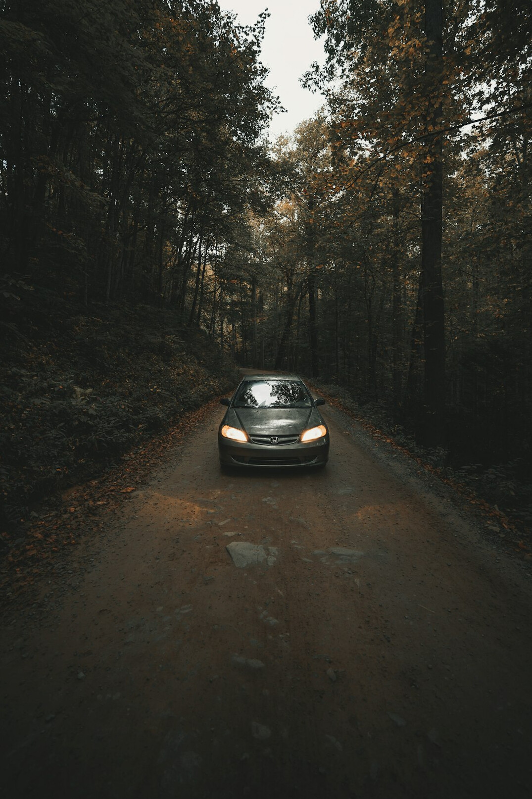 sleek sports car on road
