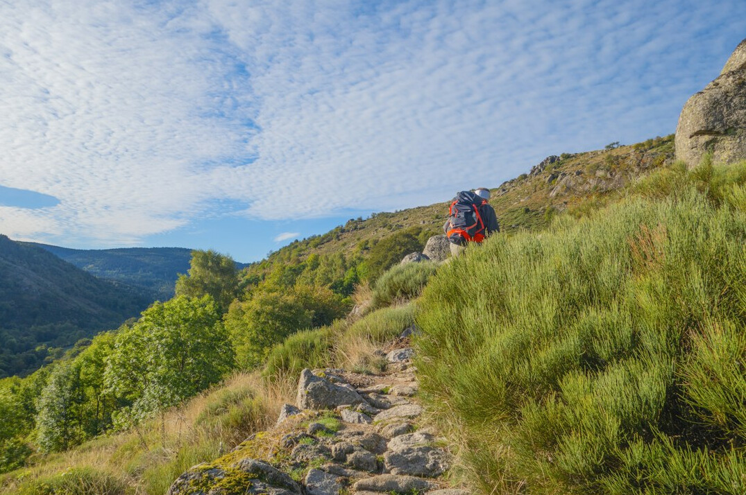 driver navigating rocky path