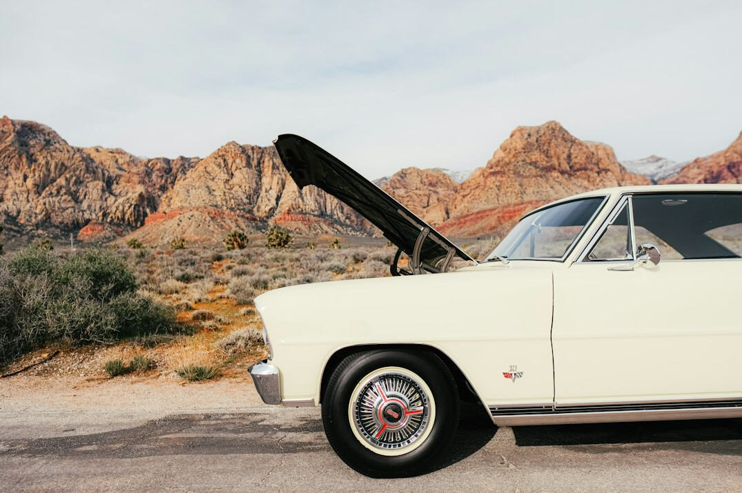 emerging automotive brands